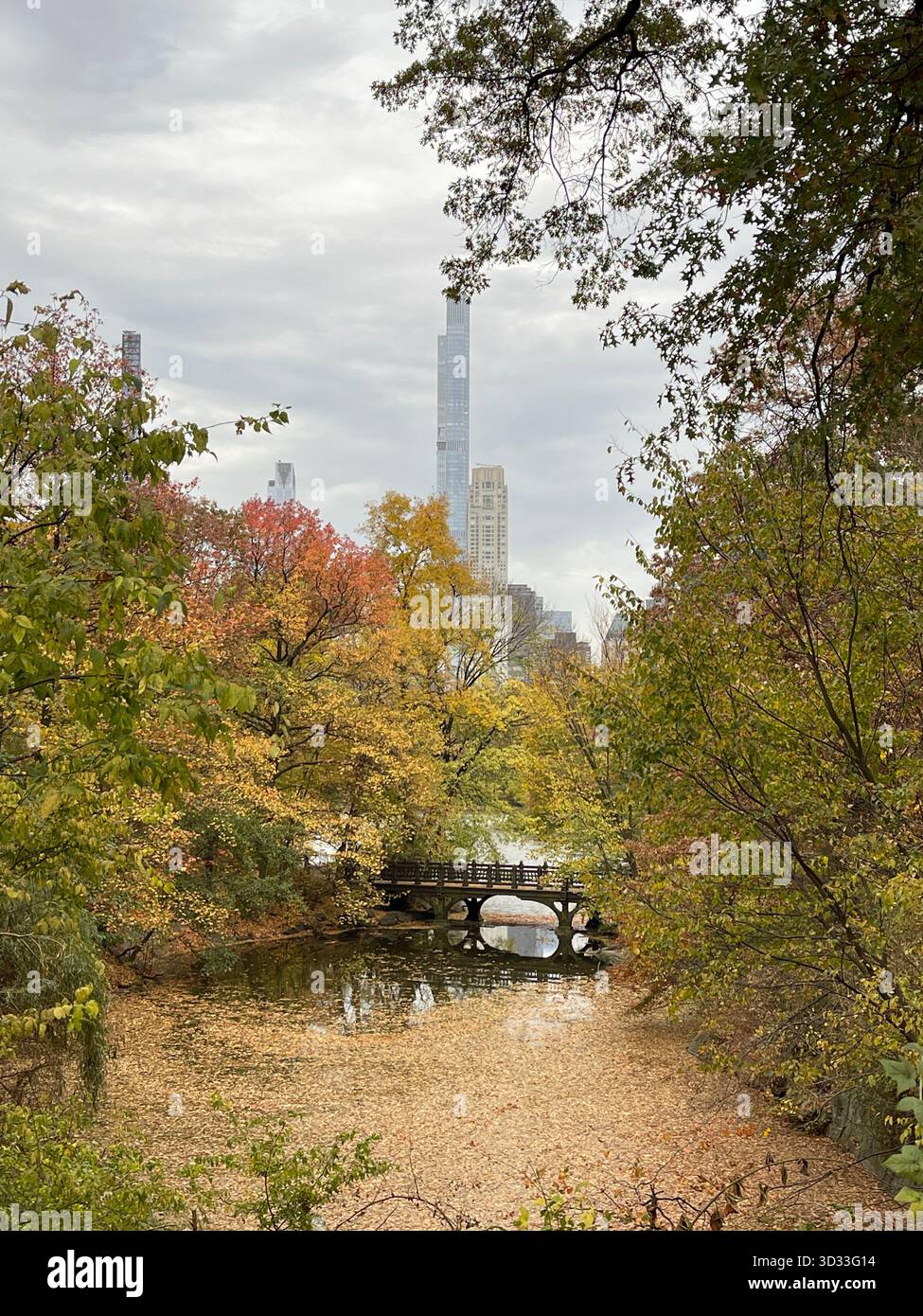 The spirit of autumn in Central Park, New York City - Smartphone Captured Stock Image