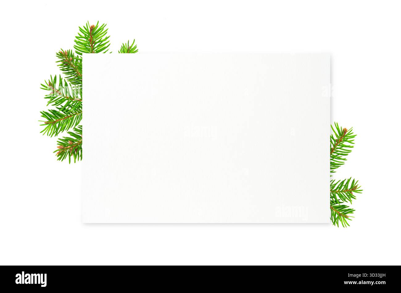 Christmas greeting card template with green fir branch and natural ...