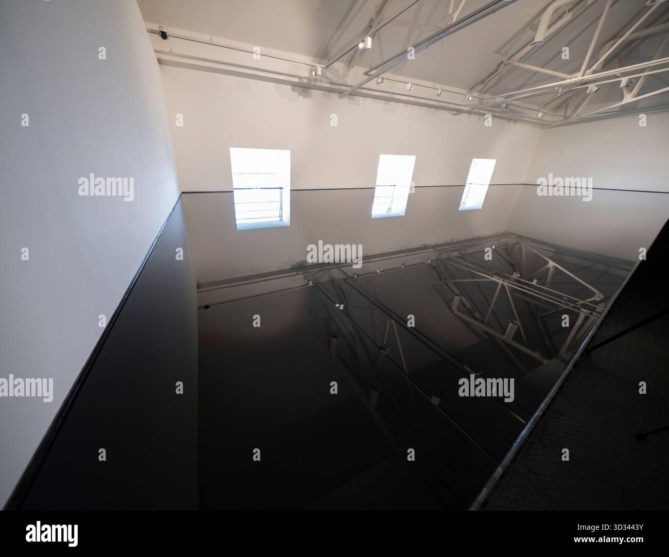 Saatchi Gallery, London, UK. 4th Nov, 2025. Celebrating four decades of ...