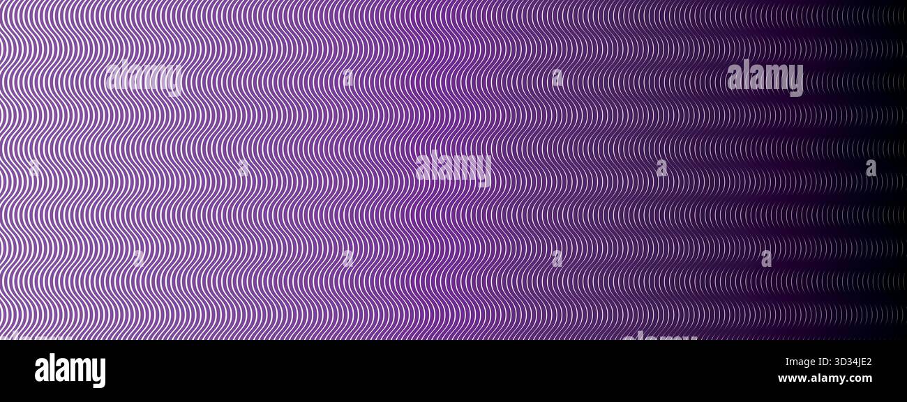 Vector pattern with black and purple curves on white backdrop Stock Vector