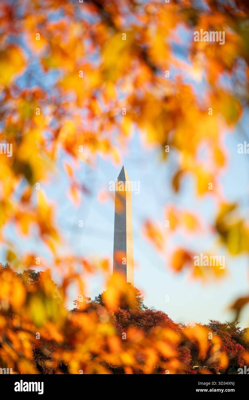 Washington Monument Through Autumn Leaves Tidal Basin Washington DC ...