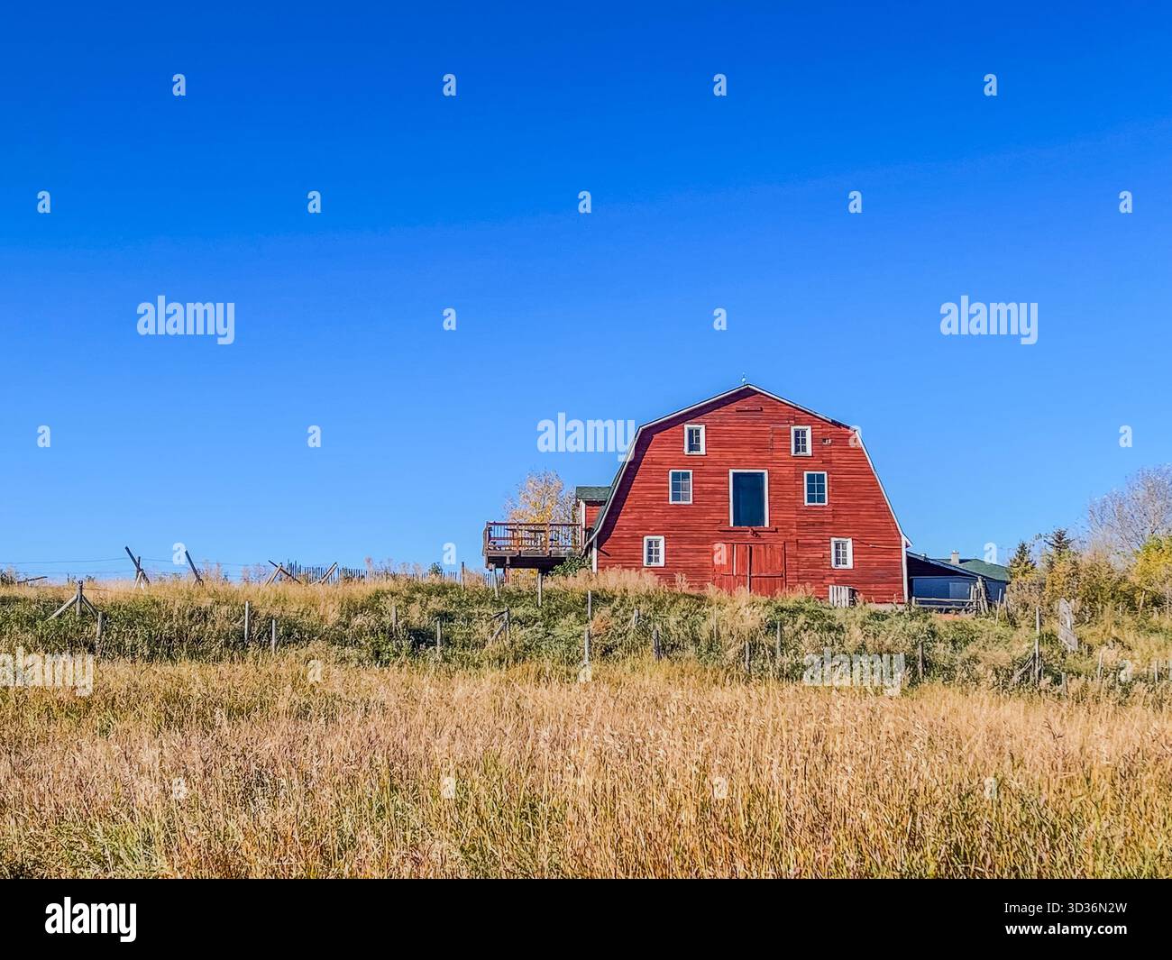 A solitary red barn sits atop a gentle hill, surrounded by weathered fences and tall grasses. The bright blue sky provides a calm, pastoral scene idea - Smartphone Captured Stock Image