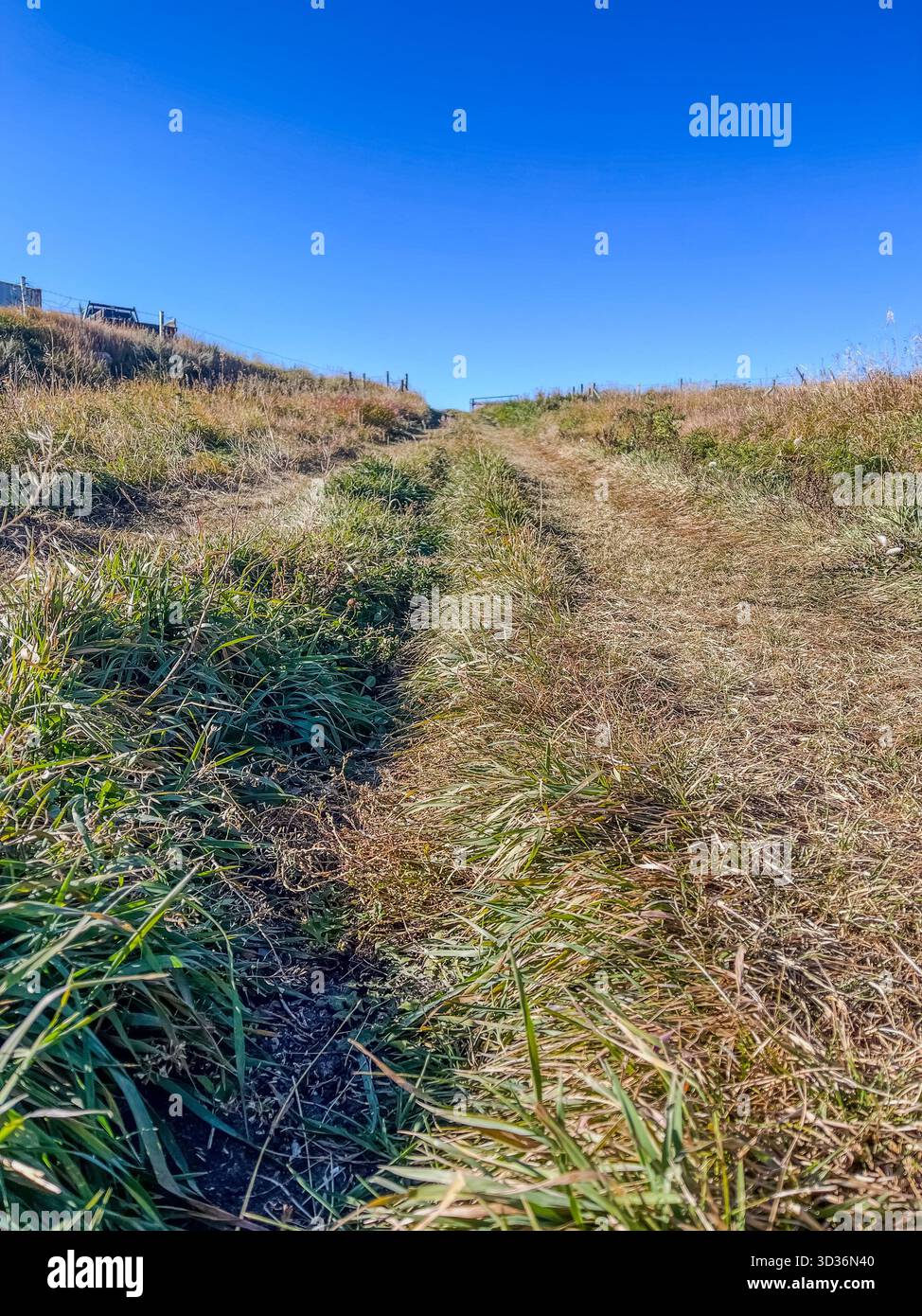 A sunlit dirt trail winds through tall grasses toward a gentle hill, offering an open space setting for outdoor exploration and peaceful hiking under - Smartphone Captured Stock Image
