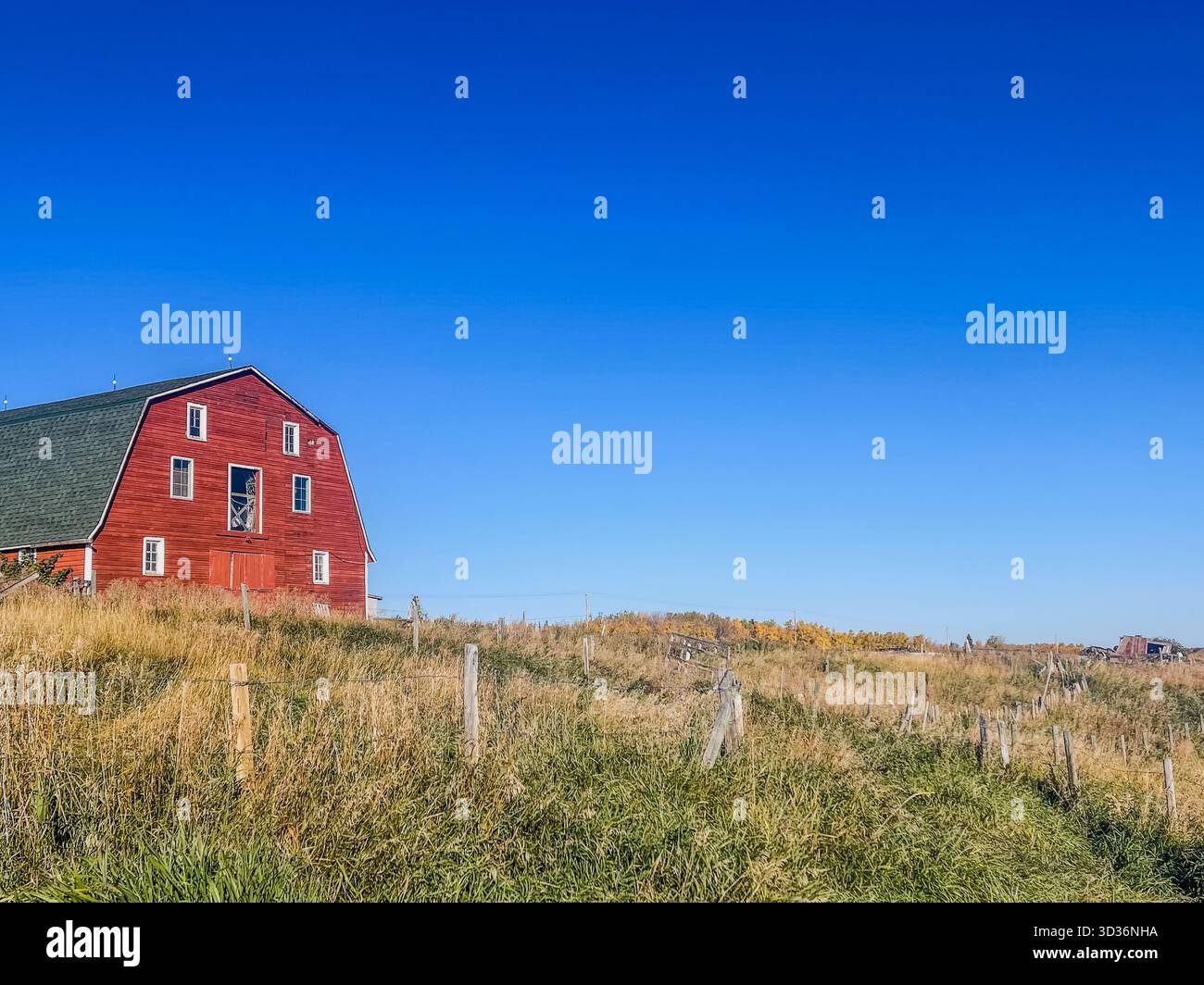 A classic red barn sits on a grassy hillside with weathered fences stretching across the field. Bright blue sky, rural landscape, and open space evoke - Smartphone Captured Stock Image