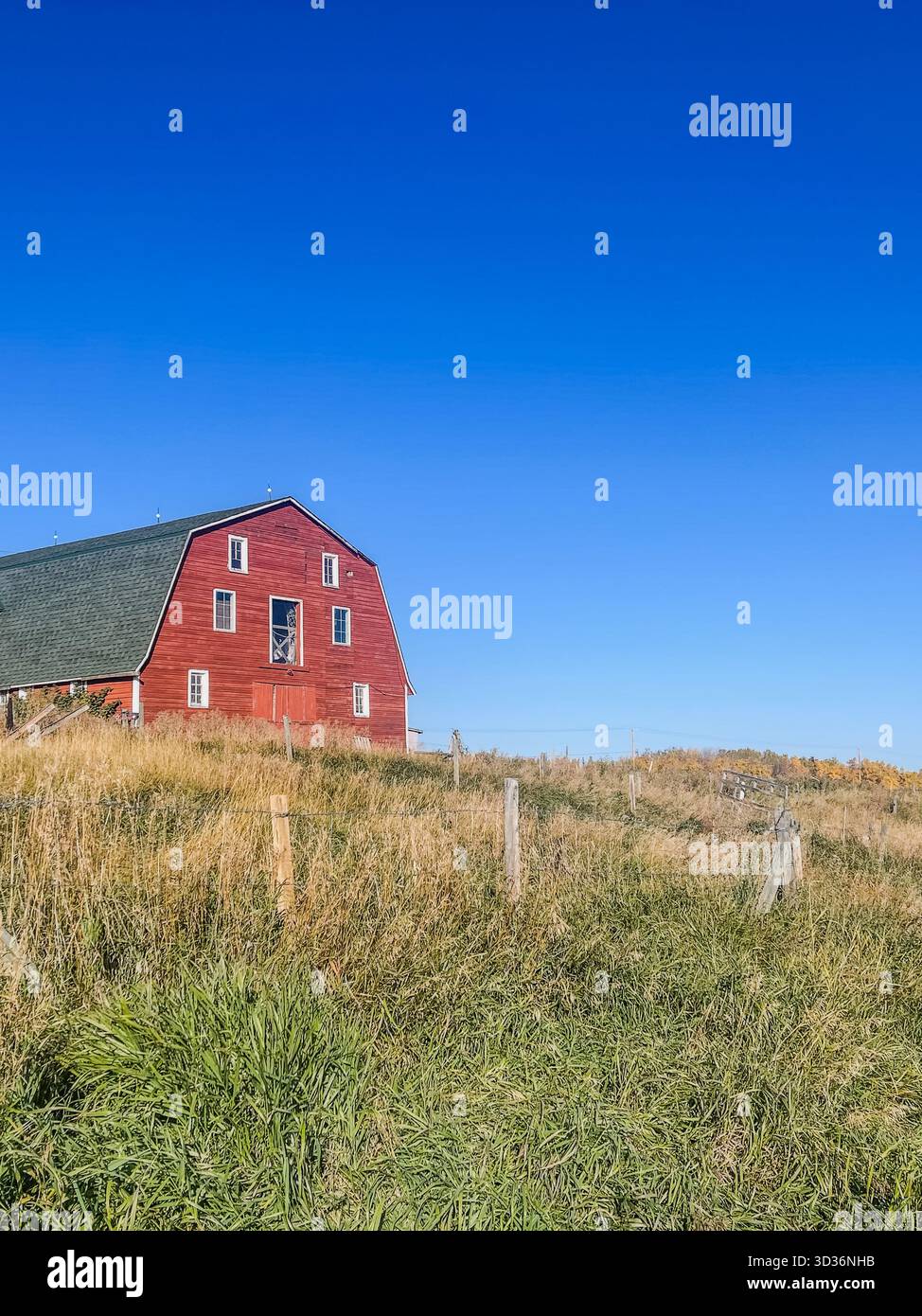 A red barn sits on a gentle hill among tall grasses with a wooden fence. A calm rural scene featuring open space, bright sky, and classic farming land - Smartphone Captured Stock Image