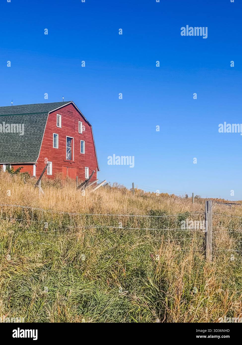 A red barn sits beside a grassy field and wire fence under a bright blue sky, capturing rural calm and rustic charm. - Smartphone Captured Stock Image