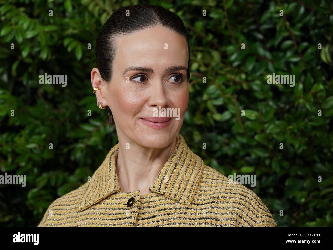 Sarah Paulson Climbs Museum