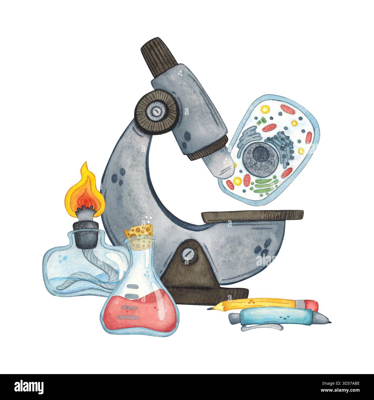 A scientific composition featuring a microscope, spirit lamp, flask ...