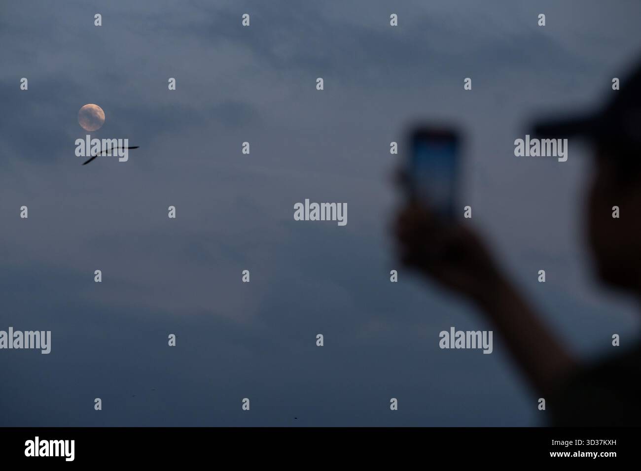 Istanbul, Turkey. 04th Nov, 2025. A man seen taking a photo of the full moon appearing in the sky with his mobile phone. Credit: SOPA Images Limited/Alamy Live News Stock Photo