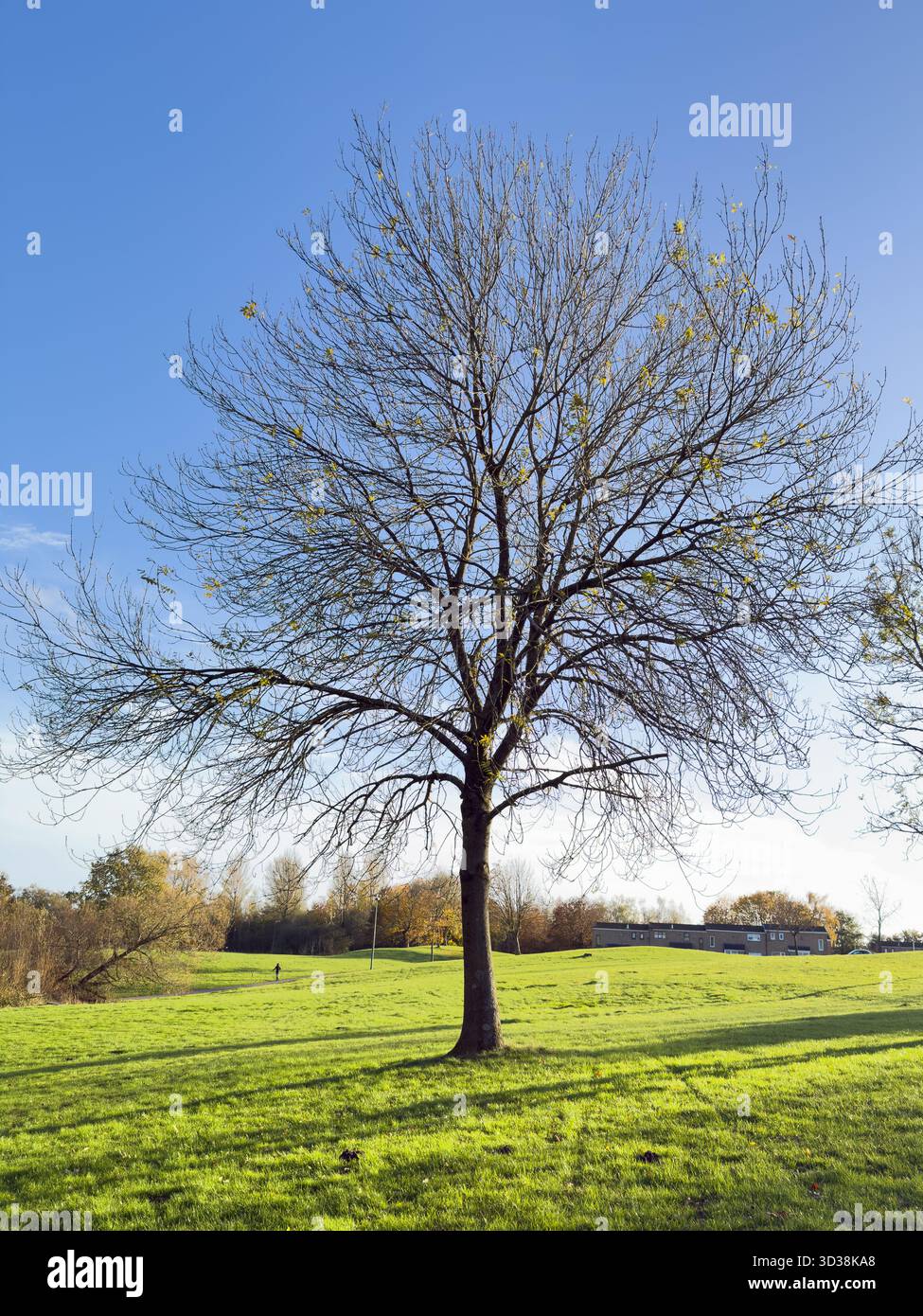 Autumn scene in Tawd Valley Park in Skelmersdale,West Lancashire,UK October 2025 - Smartphone Captured Stock Image