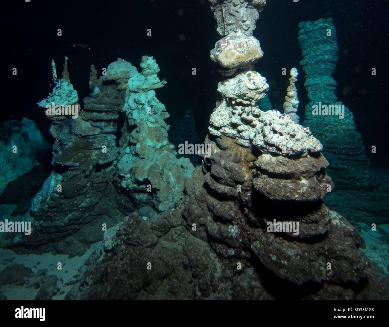 Deep Sea Exploration Mid-Ocean Ridge 2026. Unique Underwater Rock ...