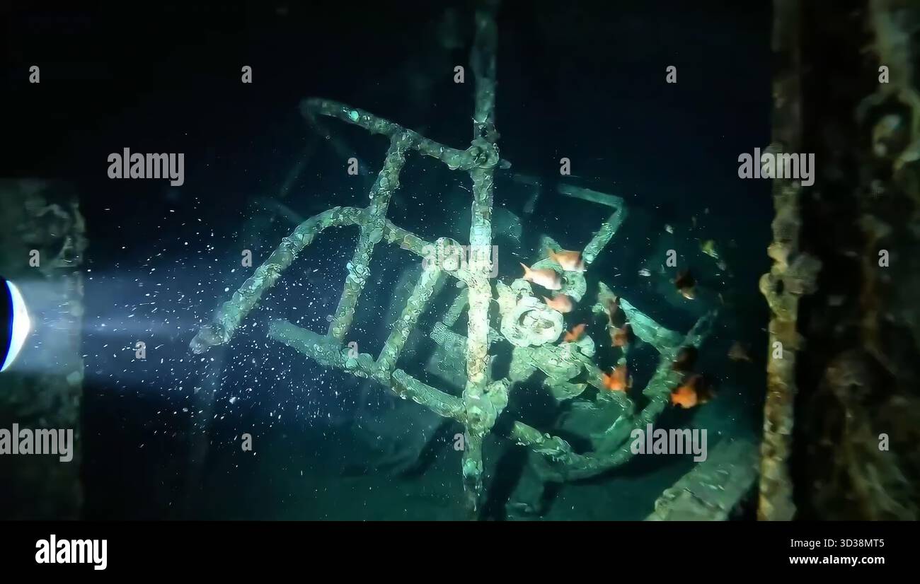 First Titanic Rov Deep Sea Titanic Wreck Illuminated by ROV's Light with School of Fish ...