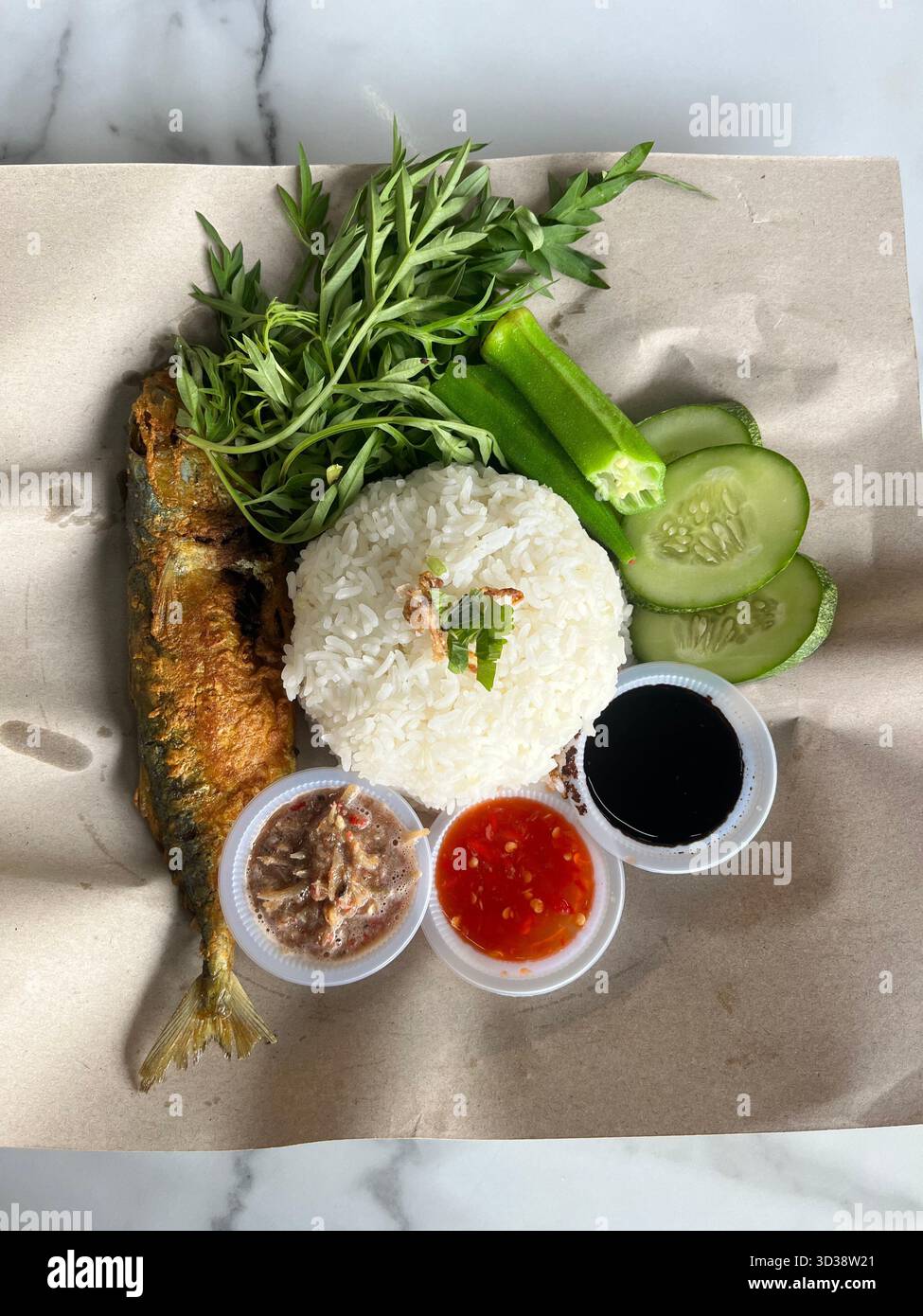 menu malaysian lunch food, LUNCH MENU, MAKANAN PILIHAN MALAYSIA, MENU MALAYSIA INDONESIA BRUNEI SINGAPORE - Smartphone Captured Stock Image