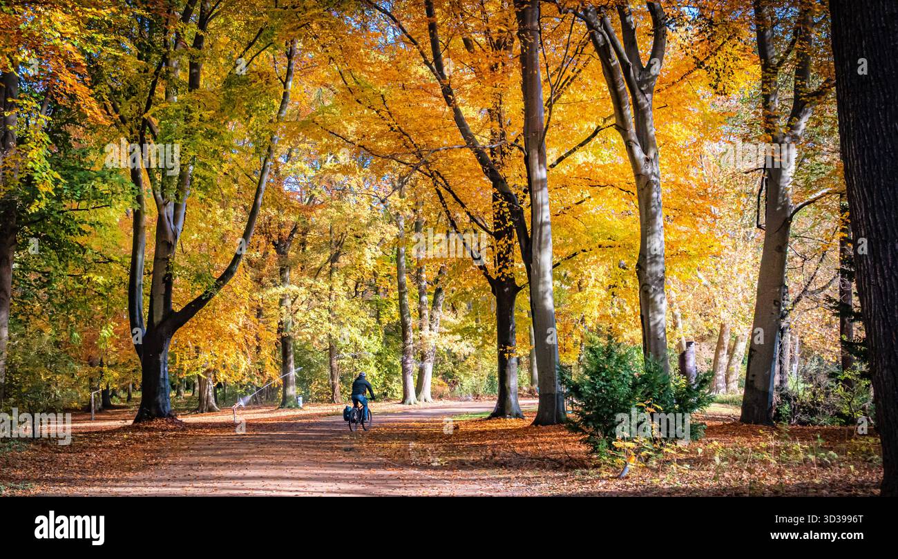 berlin-tiergarten-der-park-tiergarten-im-herbst-05-11-2025-berlin