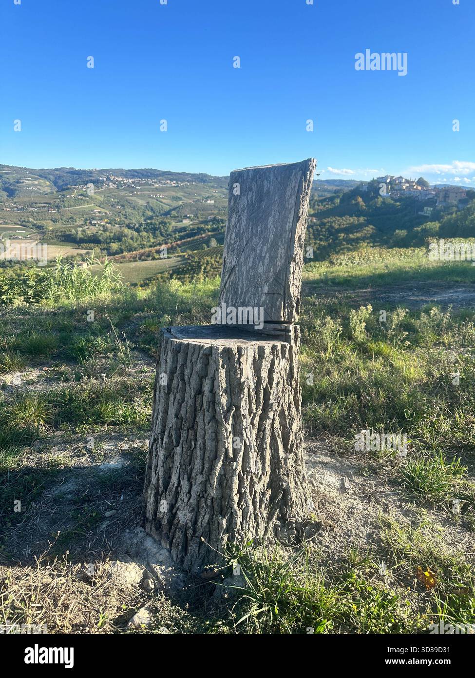 Una sedia da un tronco d'albero ancora piantato nel terreno Stock Photo