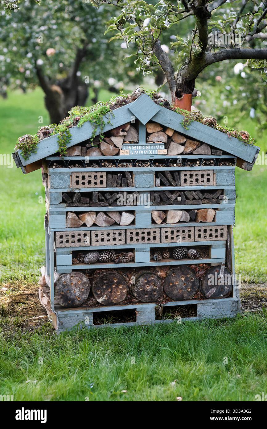 Overwintering shelter for bugs hi-res stock photography and images - Alamy
