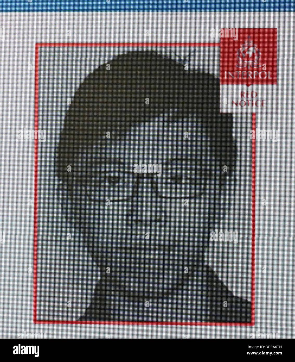 A screen showing the interpol red notice for one of the suspect wanted ...