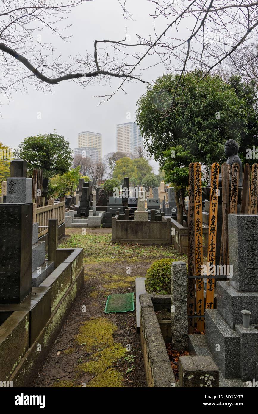 Yanaka cemetry with memorial stone and wooden memorial plaques called sotoba with prayer text in Taito city in Tokyo, Japan Stock Photo