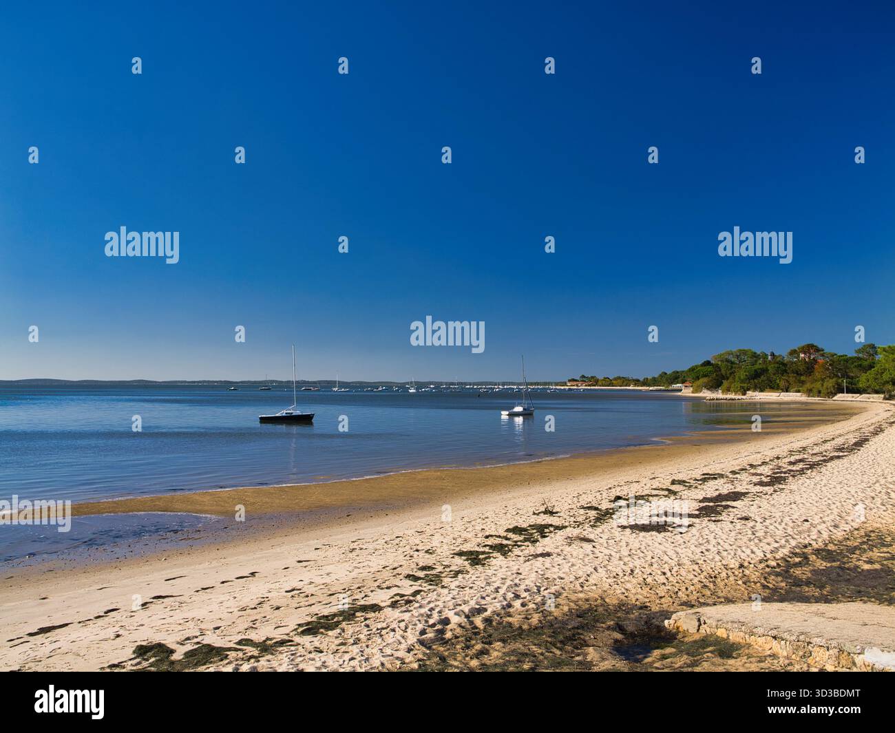 Taussat Beach, Arcachon Bay, France, with moored sailboats and a sweeping sandy shoreline under a cloudless blue sky. Soft afternoon light adds a peaceful seaside mood. Stock Photo
