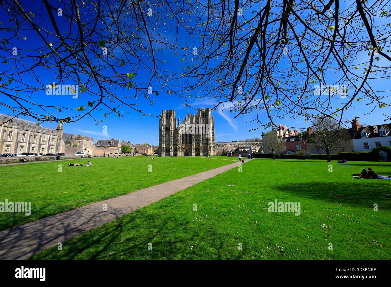 West Front, Wells Cathedral, Wells, Somerset. Stock Photo