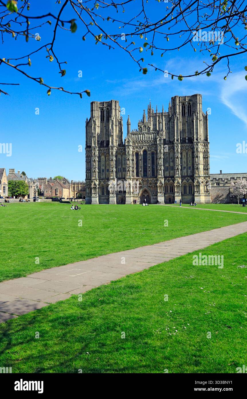 West Front, Wells Cathedral, Wells, Somerset. Stock Photo