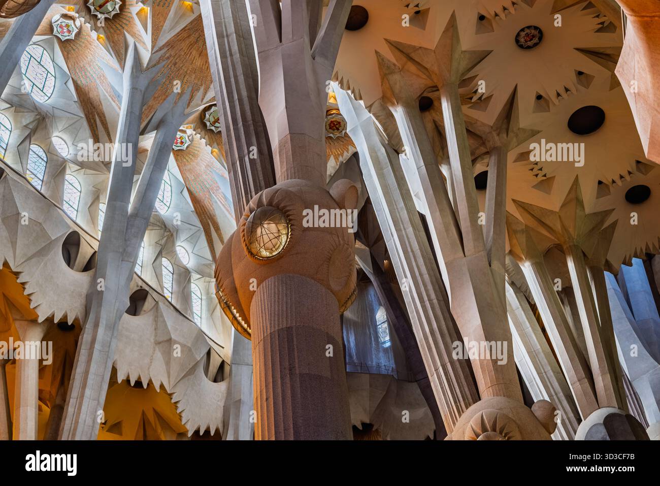 Sagrada Família interior with branching stone columns and star-shaped ...