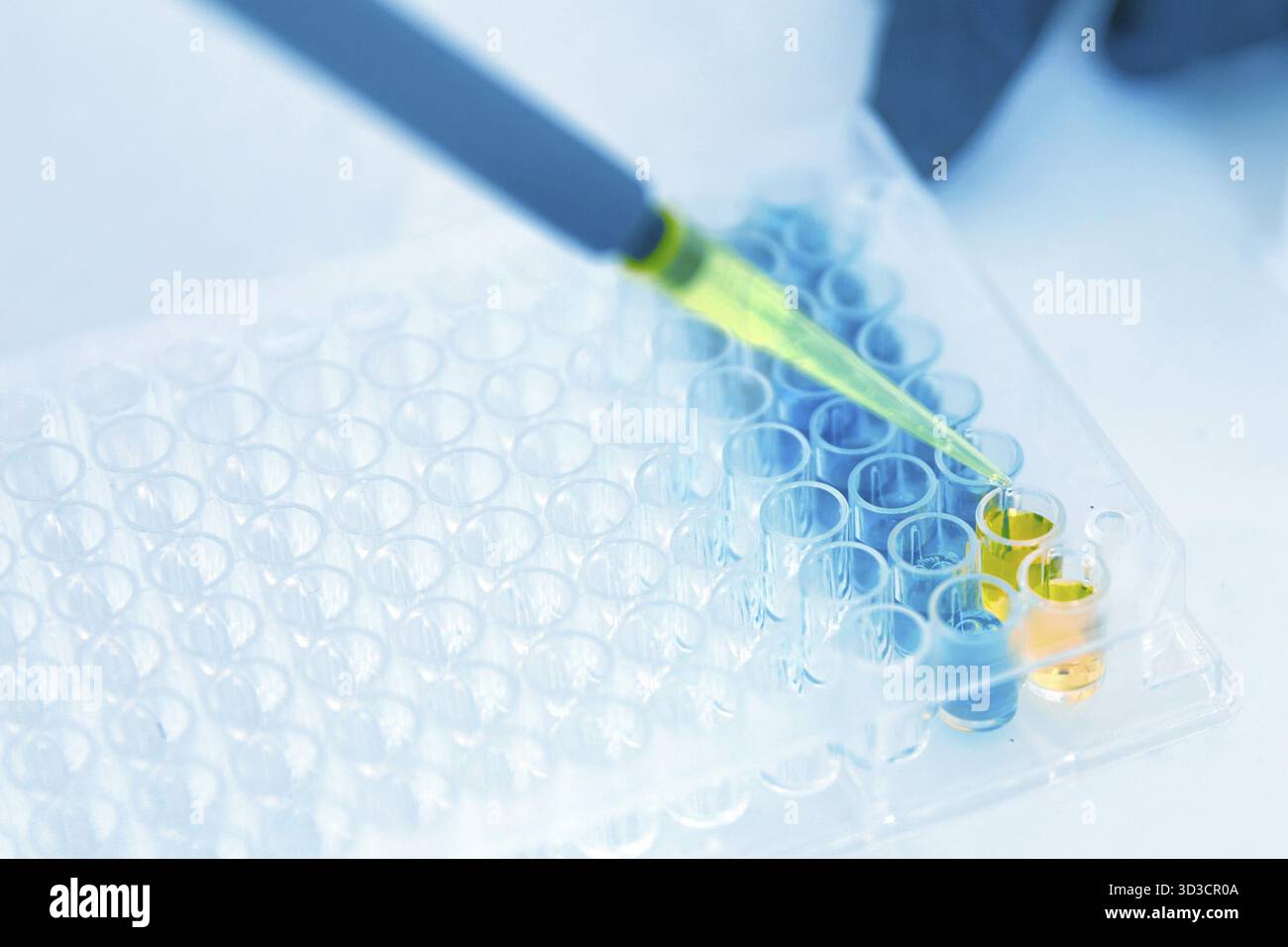 Lab Worker Adding Liquid to Test Tubes in laboratory Stock Photo