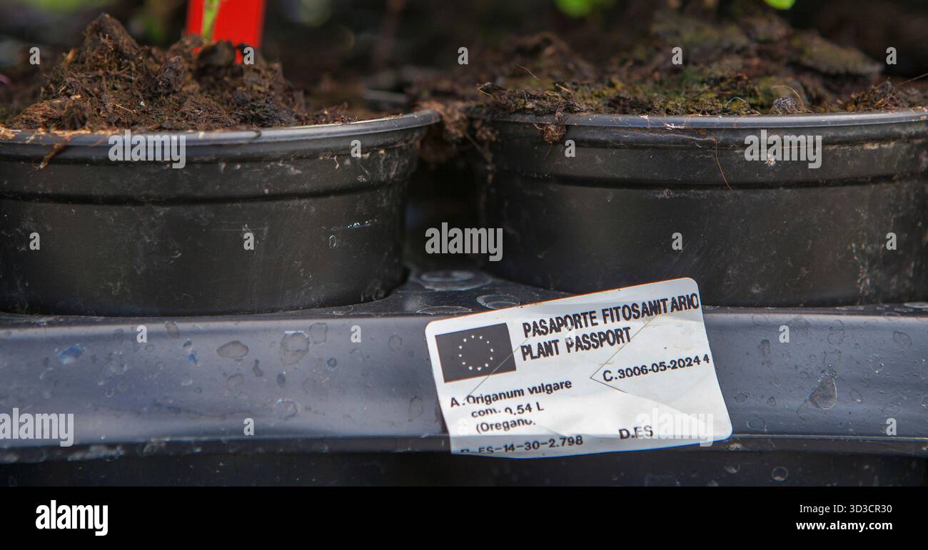 Eu plant passport hi-res stock photography and images - Alamy