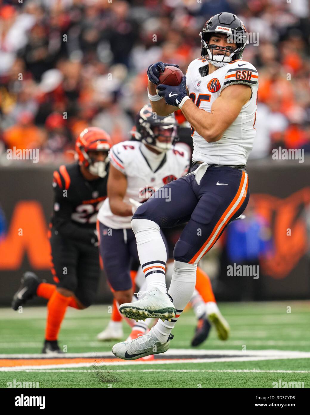 Cole Kmet football The Case of Developing Talent and High Draft Picks