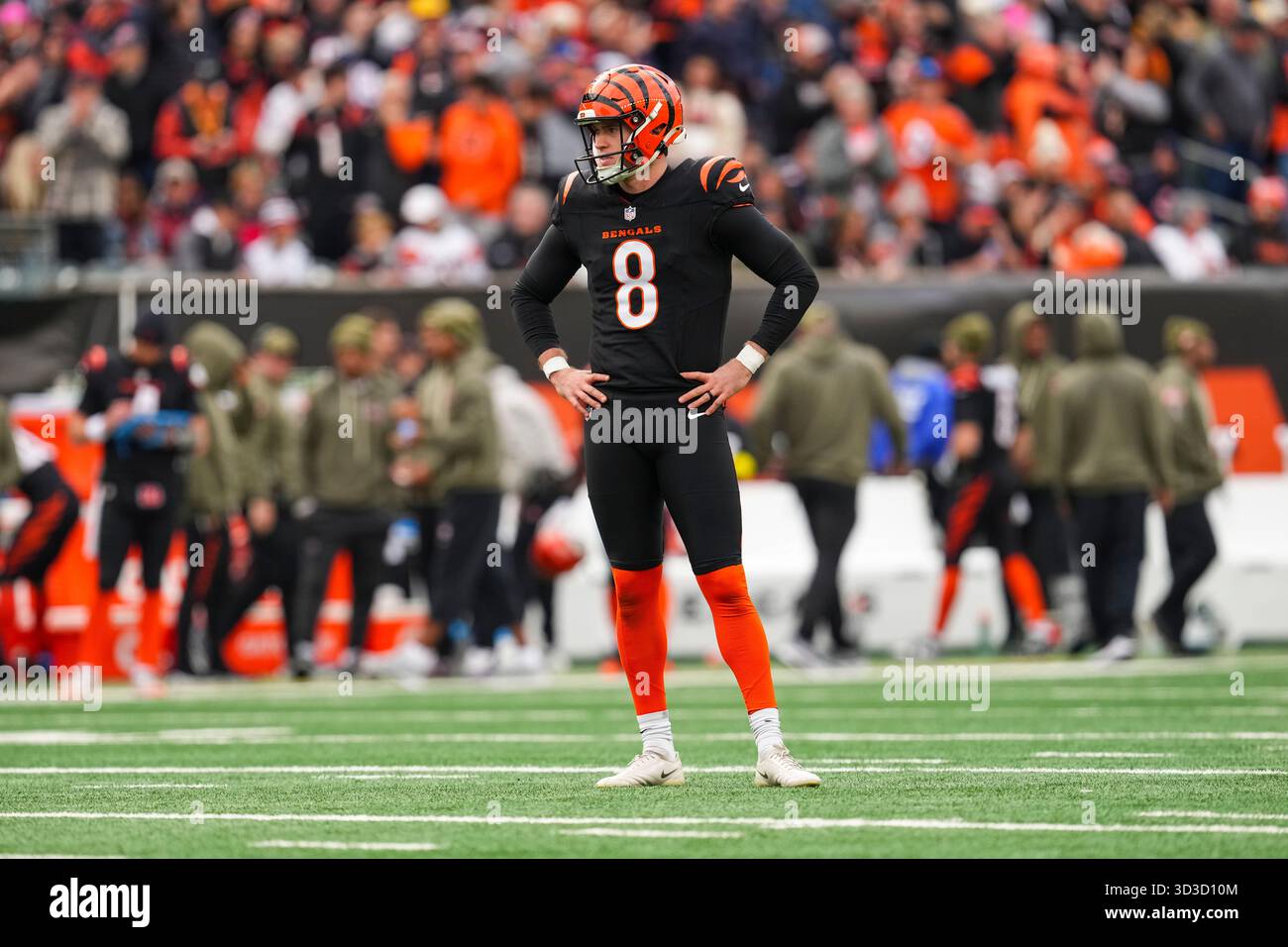 Cincinnati Bengals punter Ryan Rehkow (8) looks on during an NFL ...