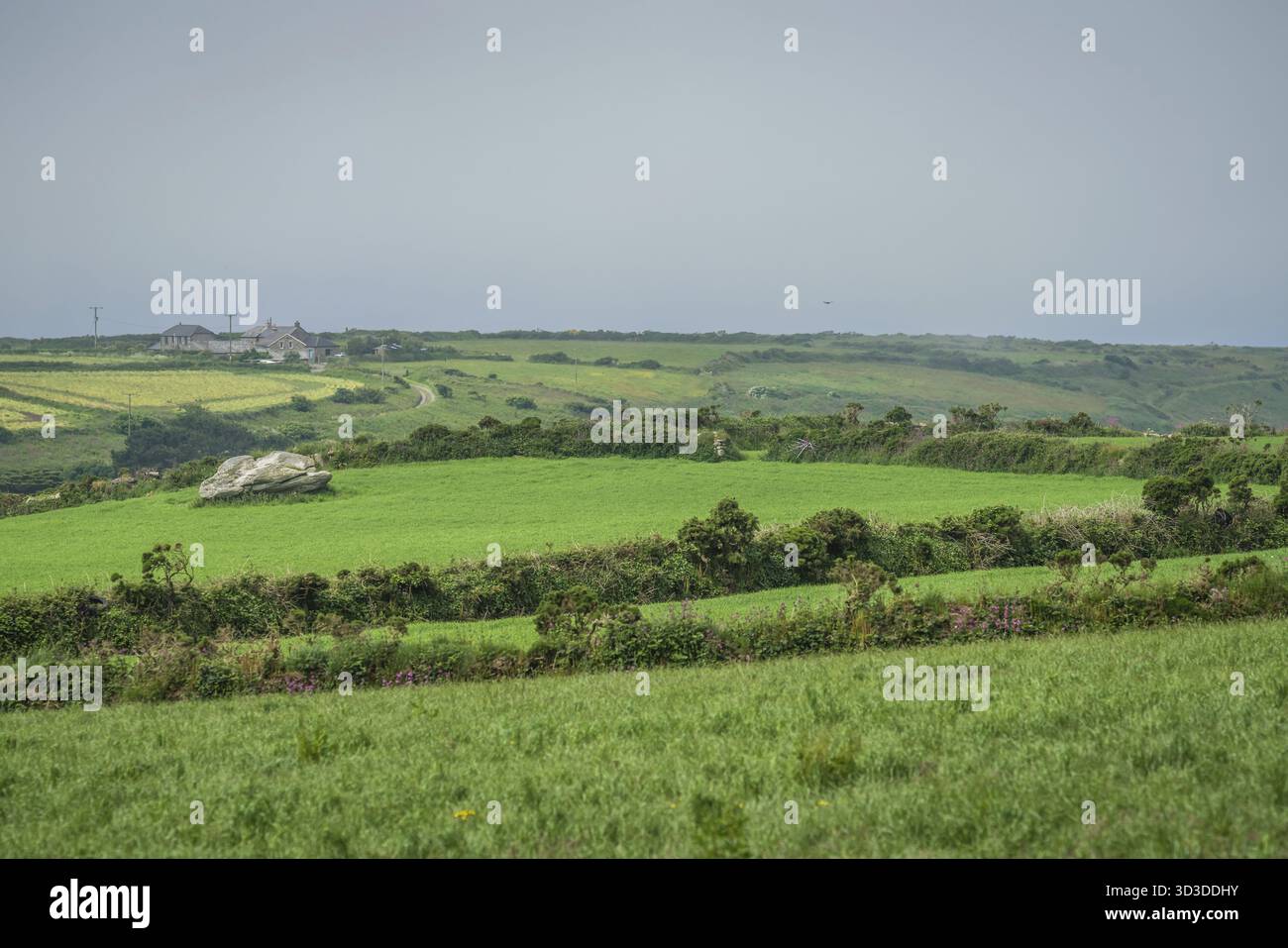 Landscape of the green rural Cornish hillside fields, Cornwall, E…