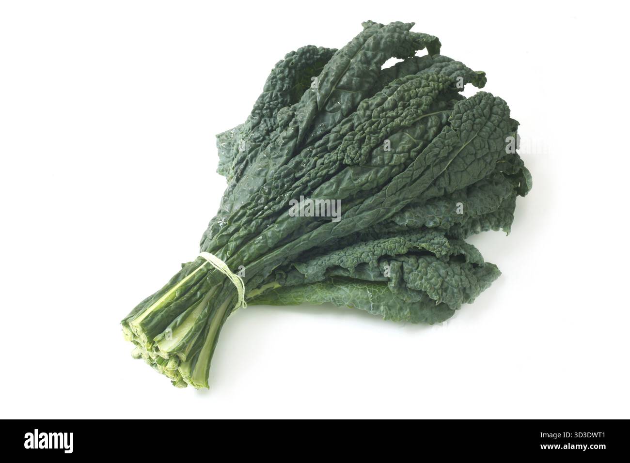 Raw Palm Kale Isolated On White Stock Photo