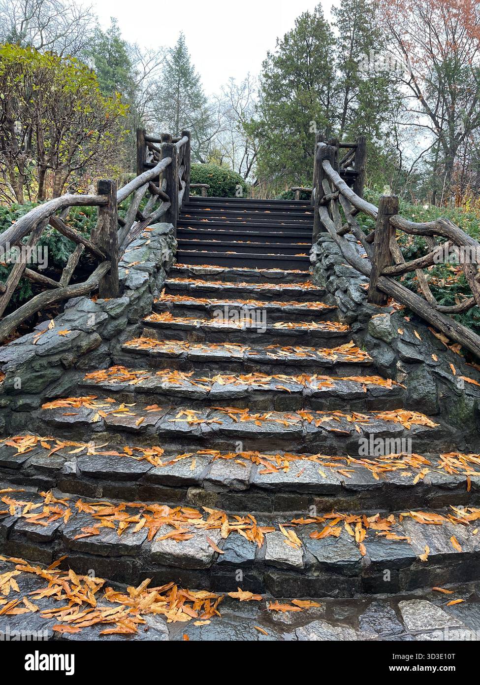 Autumn colors in Central Park, Manhattan, New York, USA, scenic park landscape with fall foliage. - Smartphone Captured Stock Image