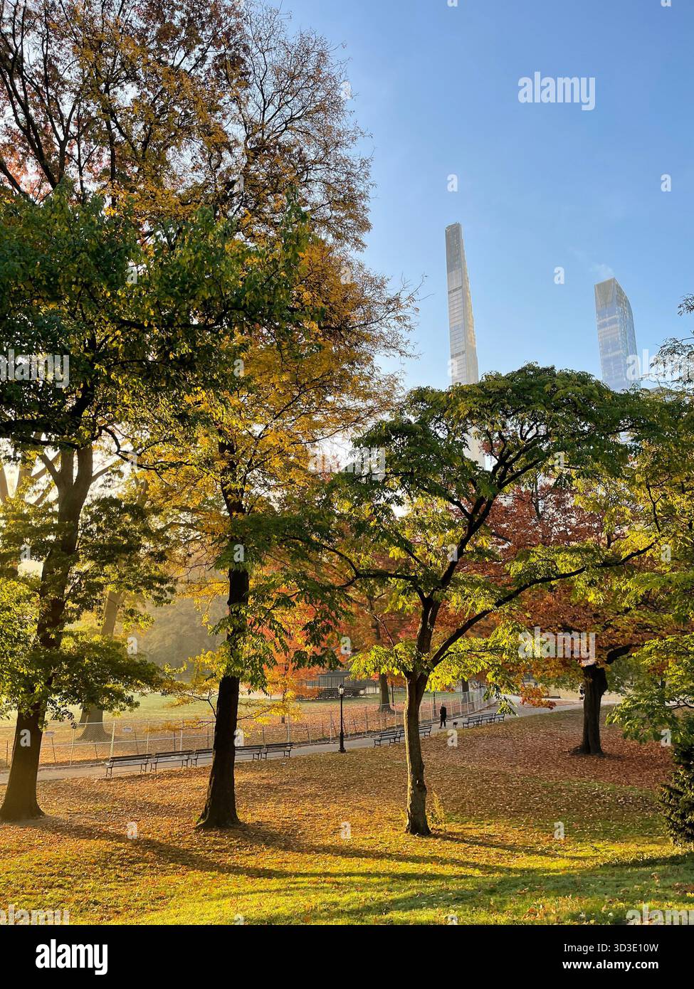 Autumn colors in Central Park, Manhattan, New York, USA, scenic park landscape with fall foliage. - Smartphone Captured Stock Image