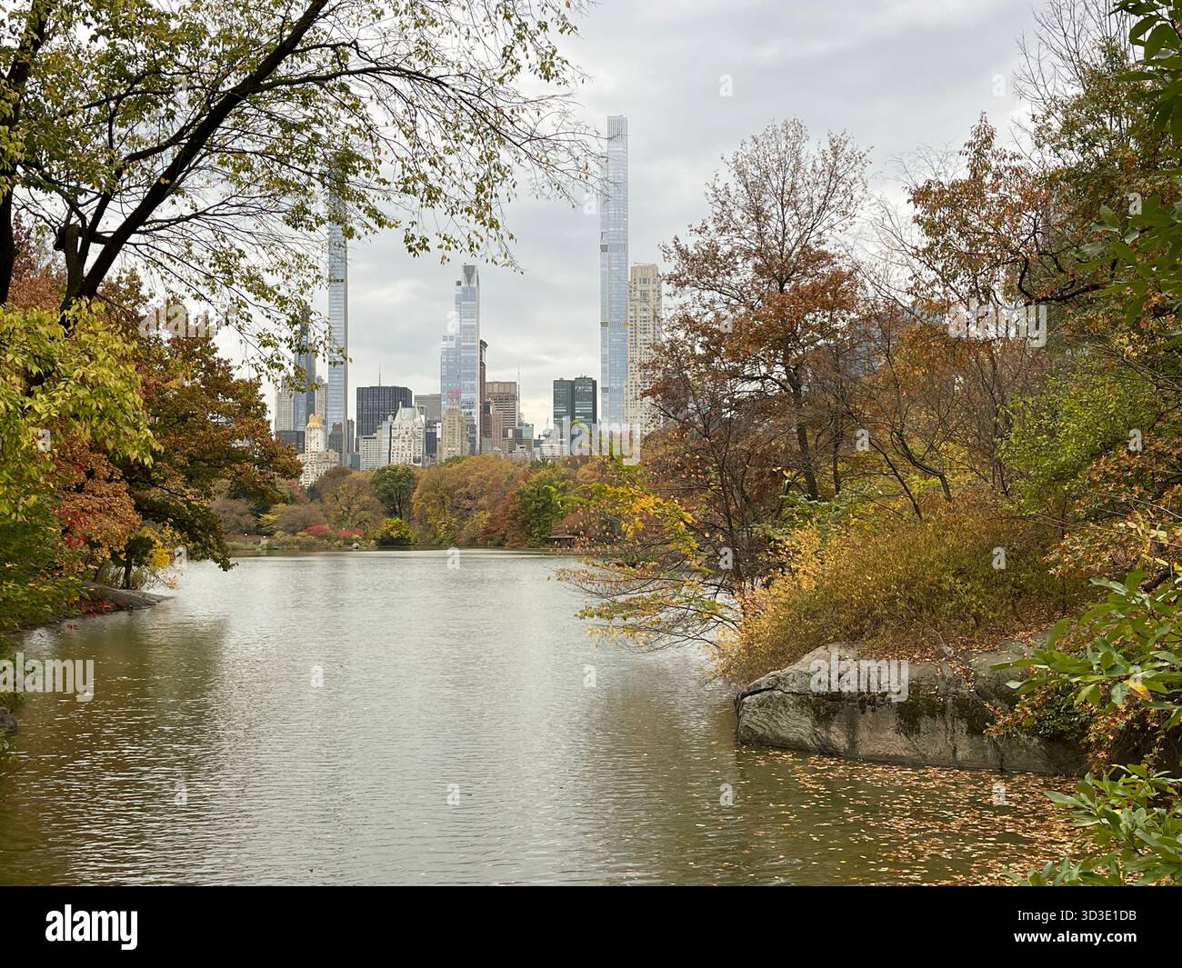 Autumn colors in Central Park, Manhattan, New York, USA, scenic park landscape with fall foliage. - Smartphone Captured Stock Image