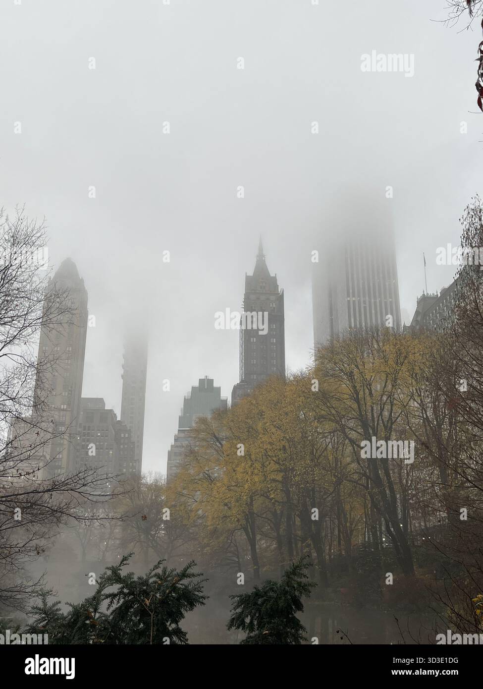 Autumn colors in Central Park, Manhattan, New York, USA, scenic park landscape with fall foliage. - Smartphone Captured Stock Image