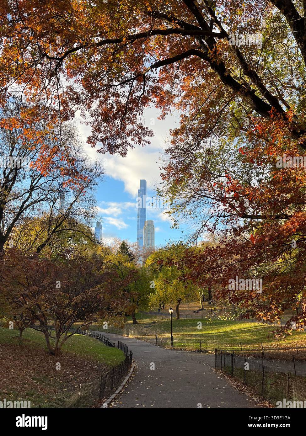 Autumn colors in Central Park, Manhattan, New York, USA, scenic park landscape with fall foliage. - Smartphone Captured Stock Image