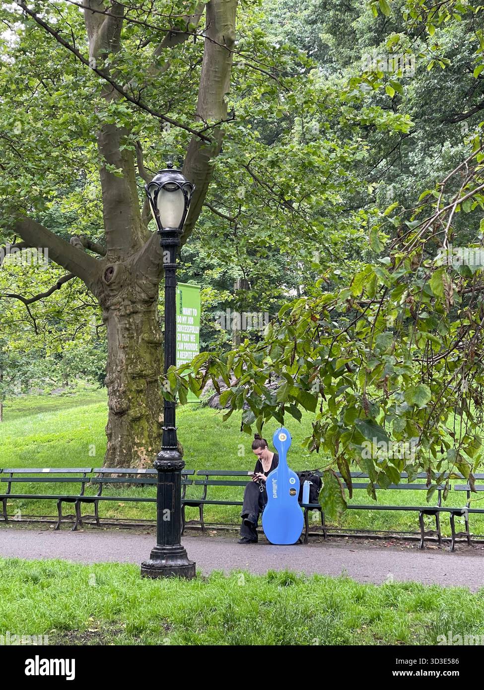 Central Park melodies: musicians turning the city’s heart into a concert hal - Smartphone Captured Stock Image