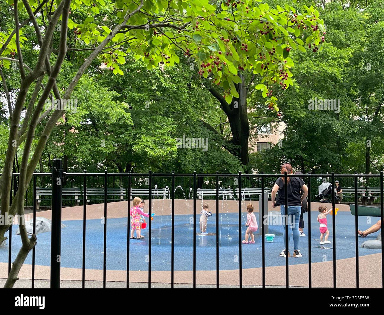 Every season brings its own charm to recreation in Central Park - Smartphone Captured Stock Image