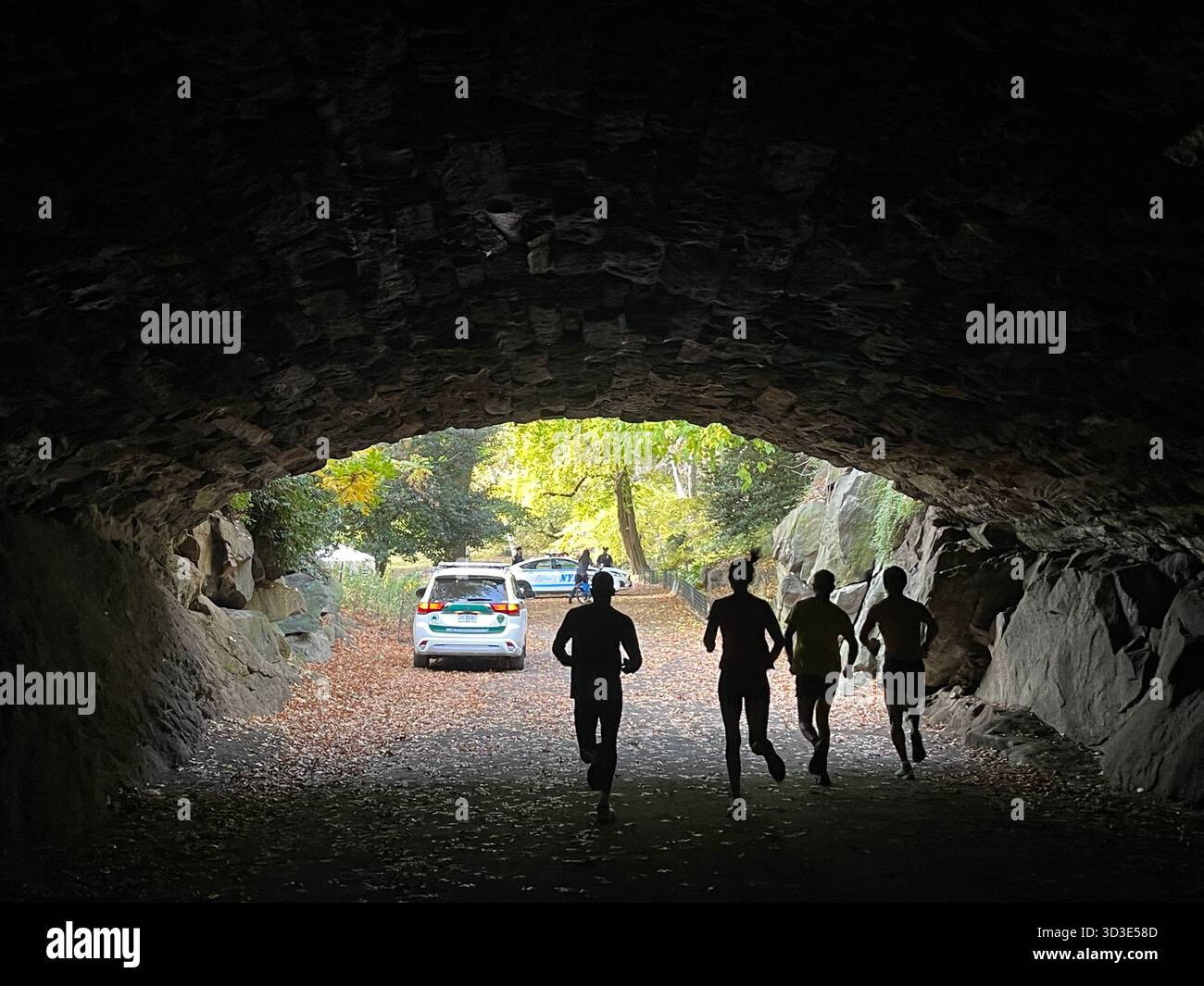 Every season brings its own charm to recreation in Central Park - Smartphone Captured Stock Image