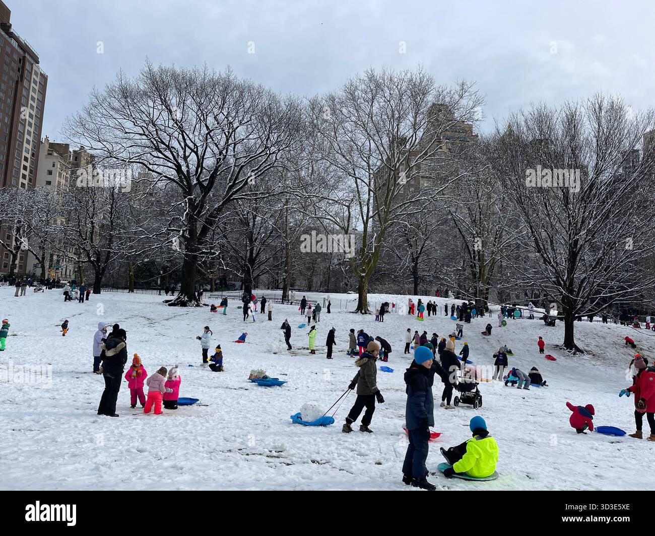 Every season brings its own charm to recreation in Central Park - Smartphone Captured Stock Image