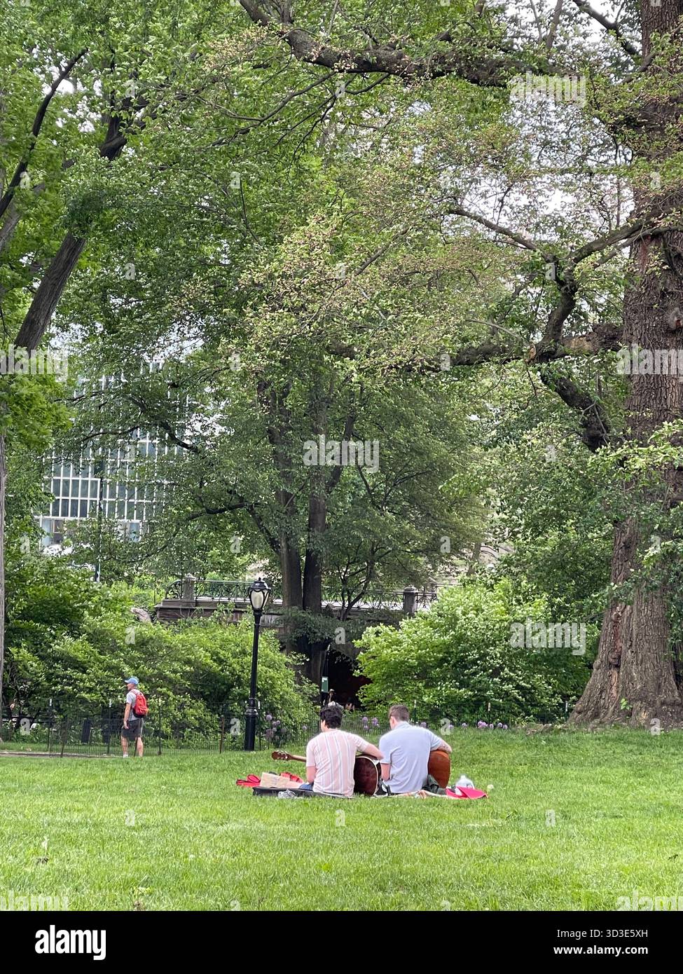 Central Park melodies: musicians turning the city’s heart into a concert hal - Smartphone Captured Stock Image