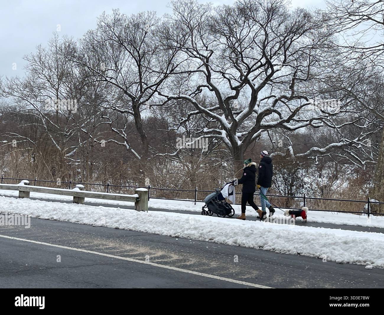 Every season brings its own charm to recreation in Central Park - Smartphone Captured Stock Image