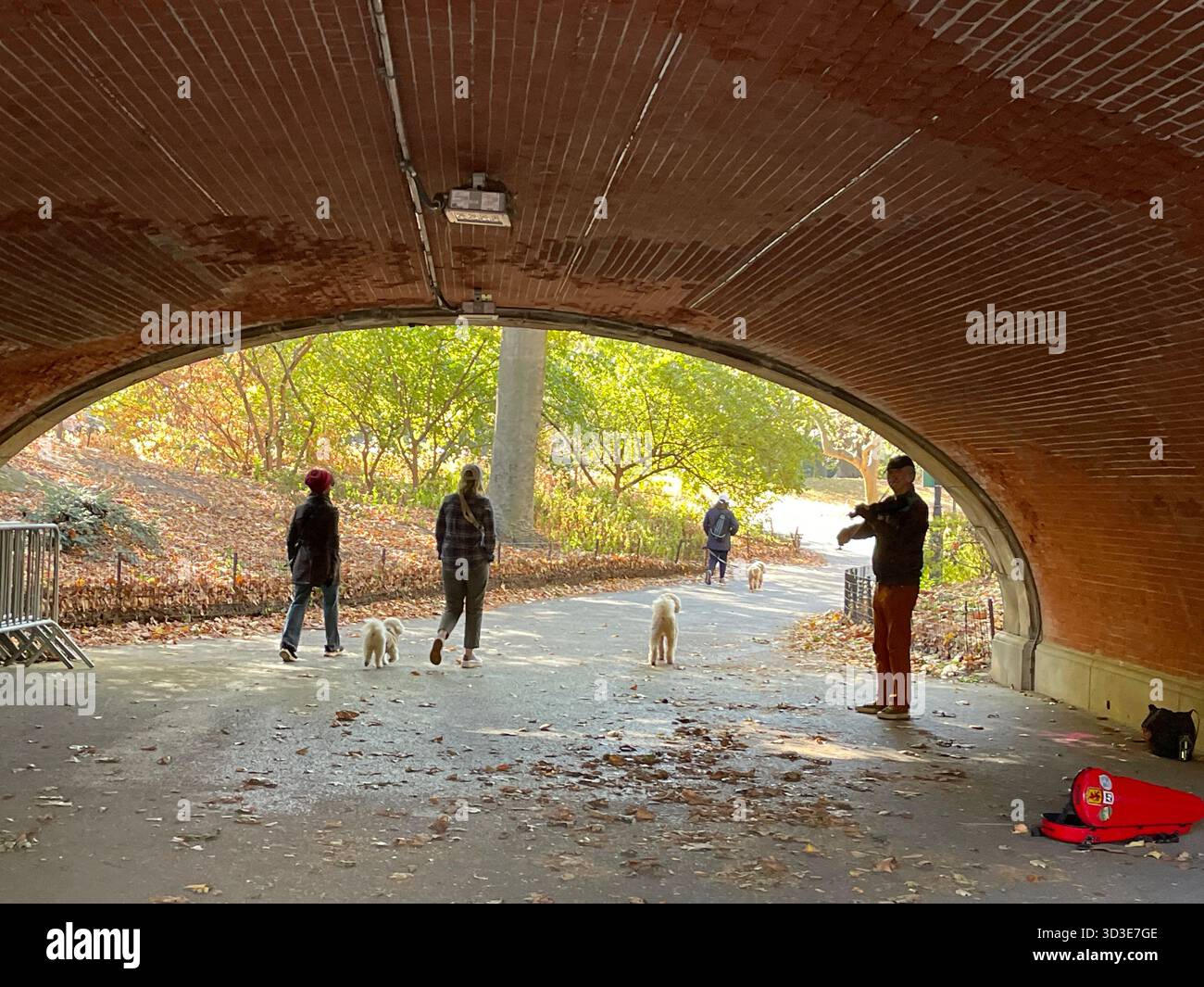 Autumn colors in Central Park, Manhattan, New York, USA, scenic park landscape with fall foliage. - Smartphone Captured Stock Image