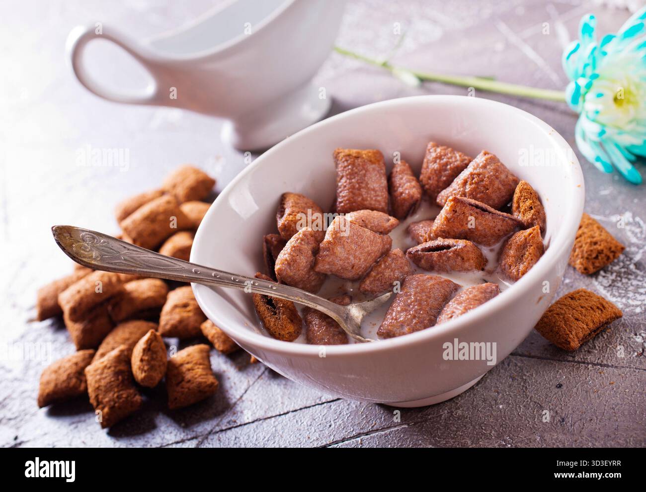 Chocolate corn pads with milk in bowl Stock Photo