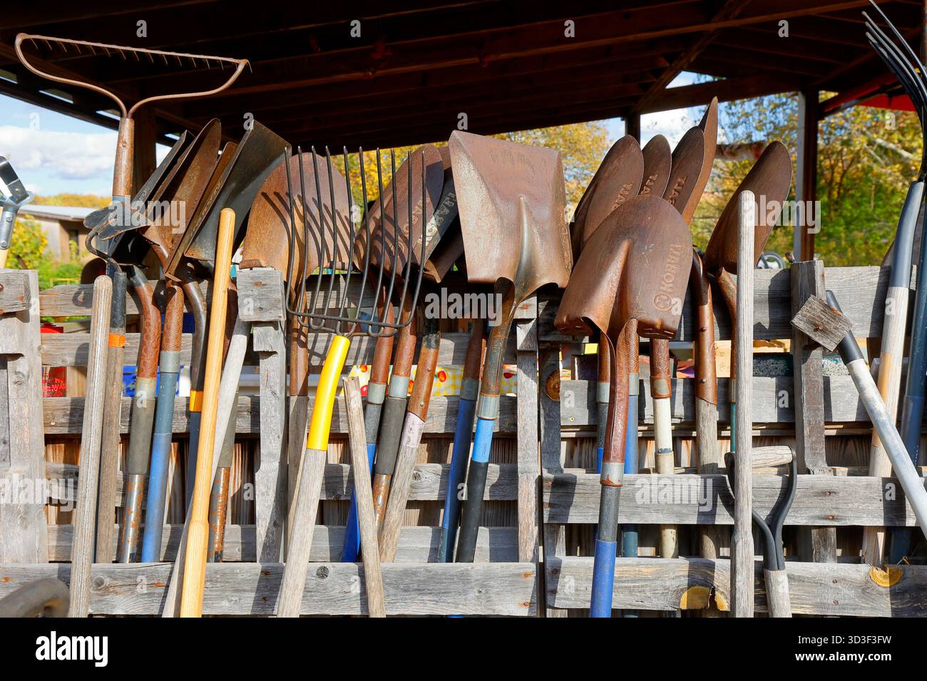 Rusty shovels and farm tools leaning against a fence. Stock Photo