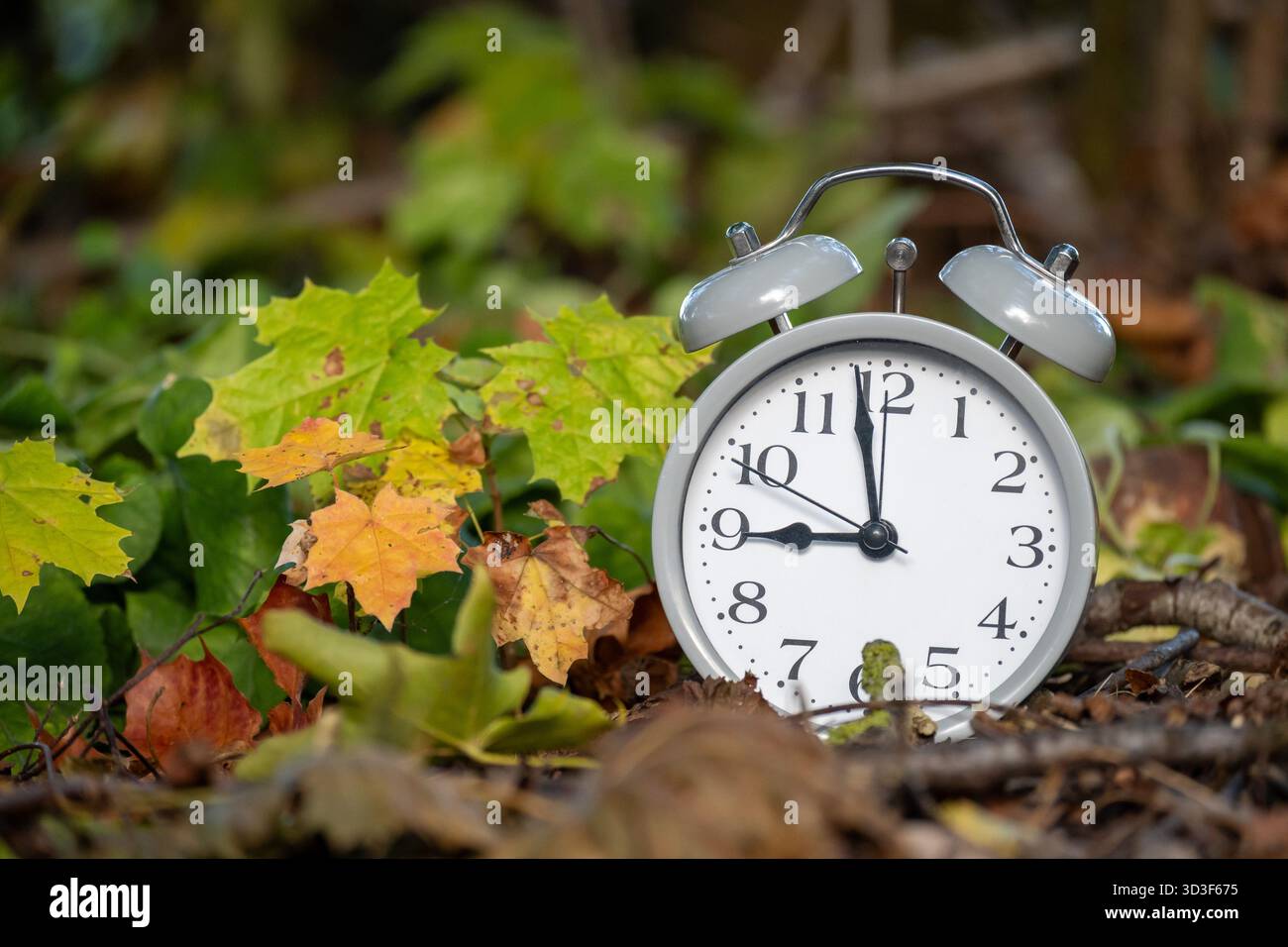 Nestled passage hi-res stock photography and images - Alamy