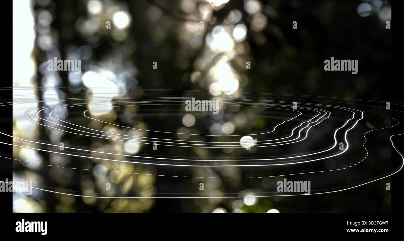 Floating irregular white contour lines layering woodland scene, digital data visualization Stock Photo