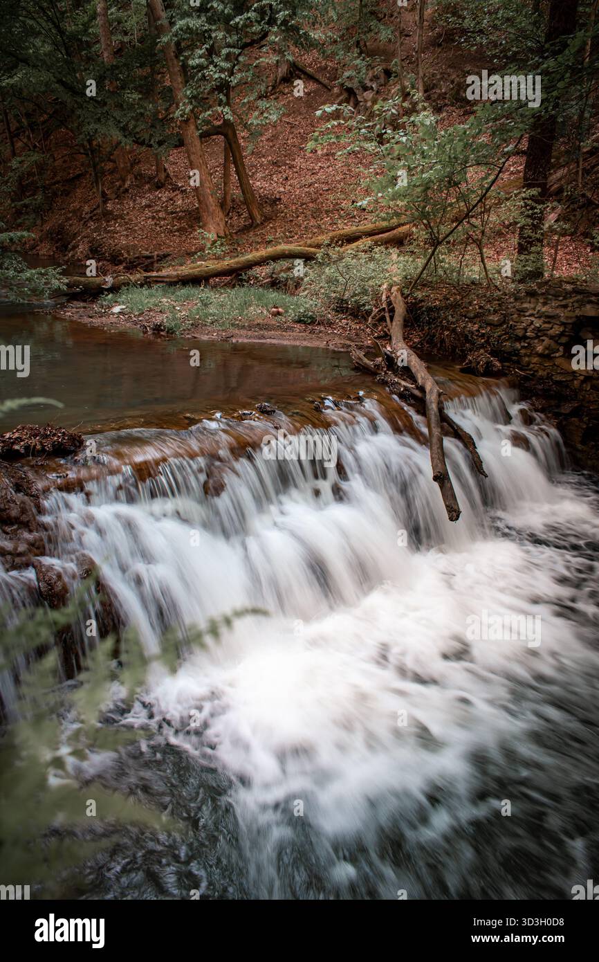 A river flowing through the forest with a small waterfall. Stock Photo