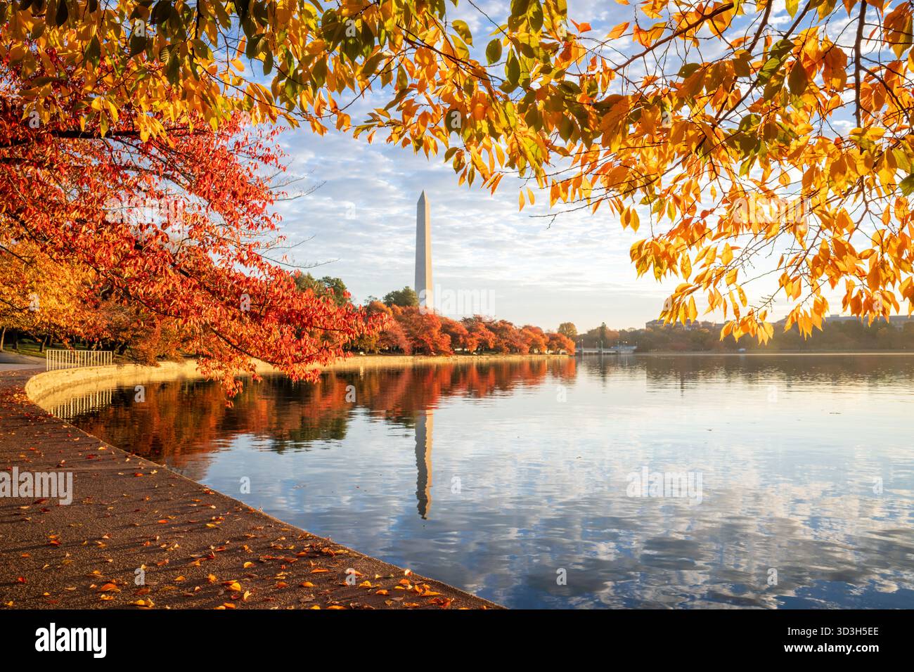 Washington Monument Tidal Basin Fall Colors Sunrise Washington DC ...